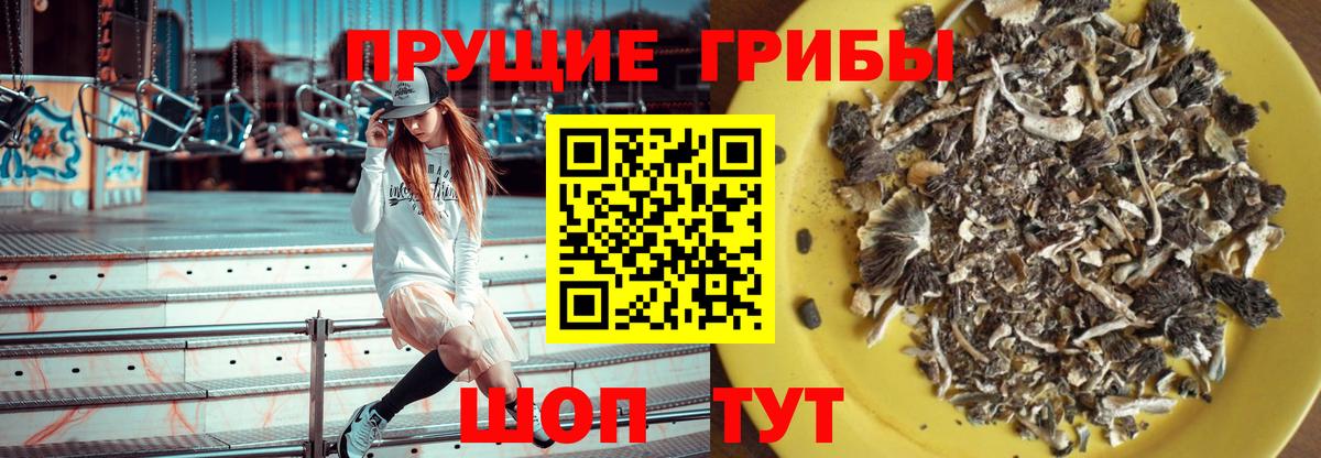 Псилоцибиновые грибы Magic Shrooms Королёв